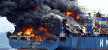 Cargo Damaged Surveys