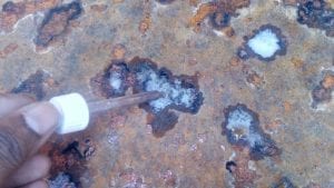 Cargo Damage Surveys